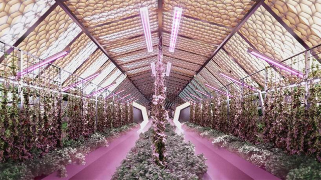 Сільськогосподарські модулі 